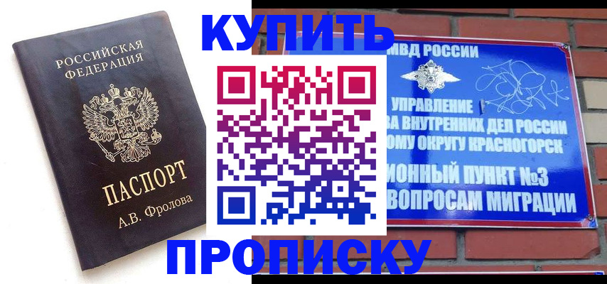 прописка поиск в Кургане